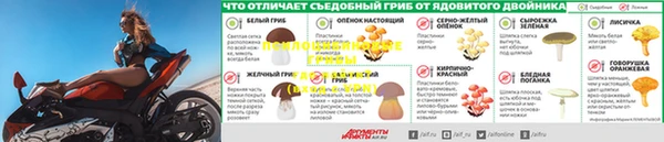 таблы Приозерск