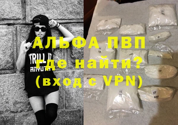 ГАЛЛЮЦИНОГЕННЫЕ ГРИБЫ Гусев