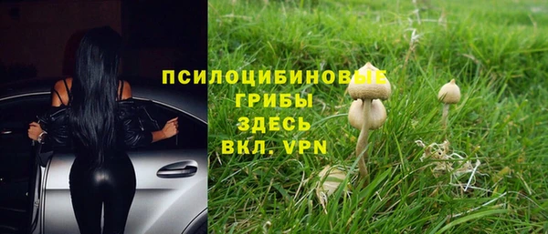 соль курить ск Пролетарск